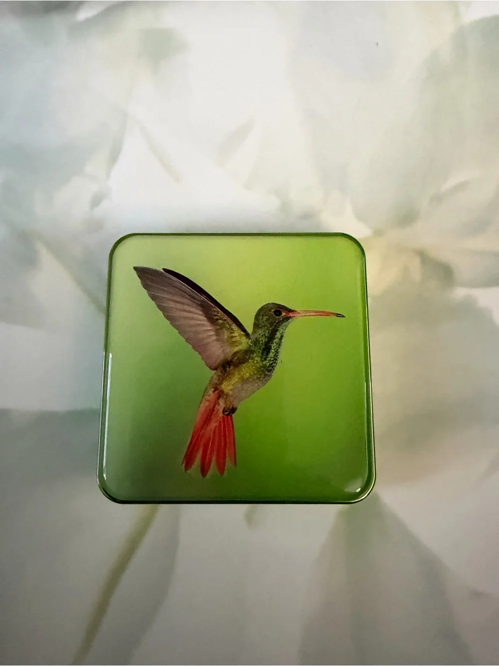 Chantecaille Hummingbird eye quartet warm nwob